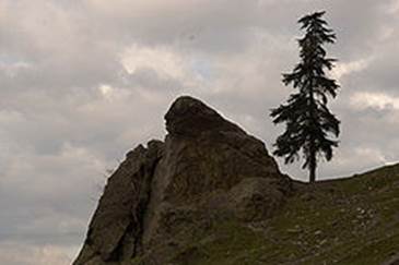 https://upload.wikimedia.org/wikipedia/commons/thumb/2/21/NiobeWeepingRock_AglayanKaya_MountSipylus_ManisaTurkey.jpg/250px-NiobeWeepingRock_AglayanKaya_MountSipylus_ManisaTurkey.jpg